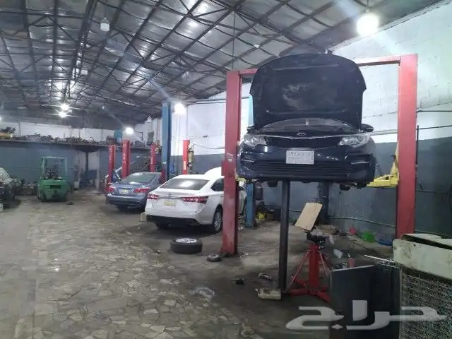 قير تورس اكسدبيشن 9