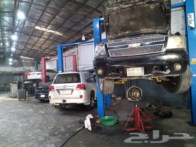 قير تورس اكسدبيشن 11