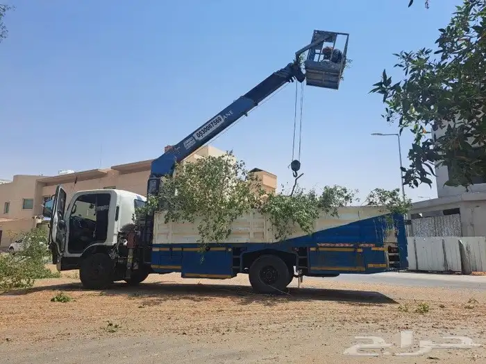 دينات كرين سله بجميع احجامها للأيجار اليومي 2