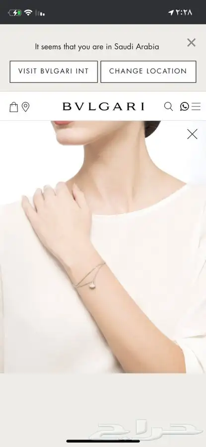 فضه اصليه واللماس صناعي الاسعار اقل من السوق 15