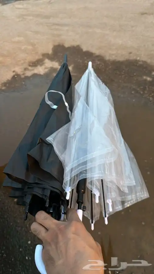 umbrella- مضلة مطر شفاف واسود -واكياس مطر توصيل للجميع 0