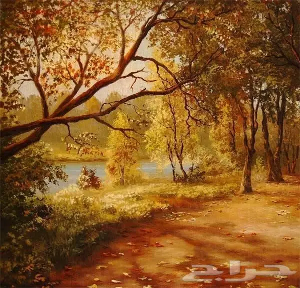رسام مناظر طبيعيه رسام الاحساء رسام روضة اطفال رسام محلات 15