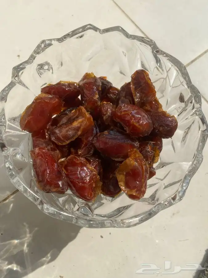 ضيافة الزامل قهوجي صبابين آلموقع الأحساء والخبر والدمام 0