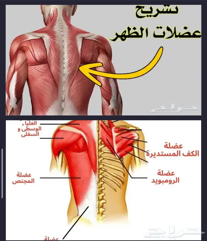 زيت علاجي وطق ابهر 2