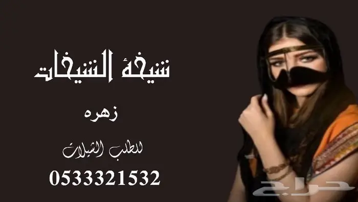 منشد شيلات شاعر جزل 0