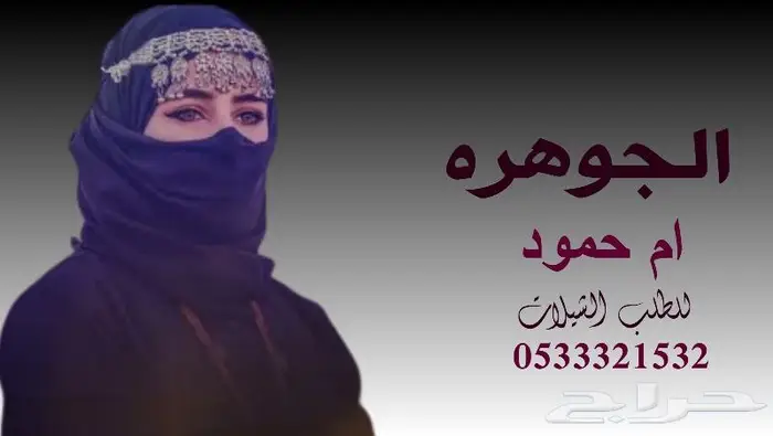 منشد شيلات شاعر جزل 2