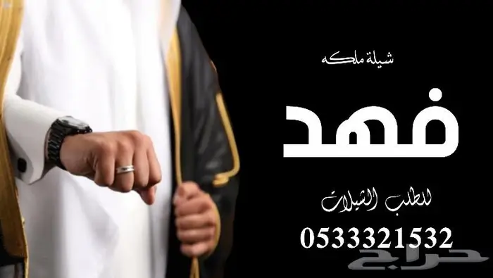 منشد شيلات شاعر جزل 4