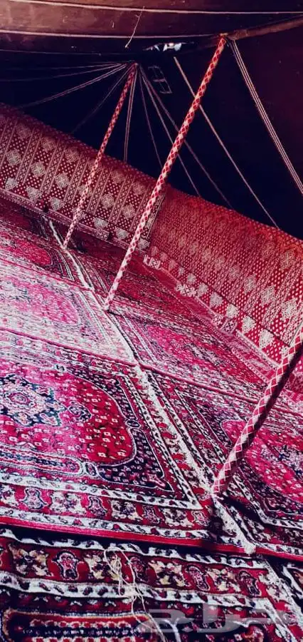 بيت شعر ابيض اسود جميع المقاسات 14