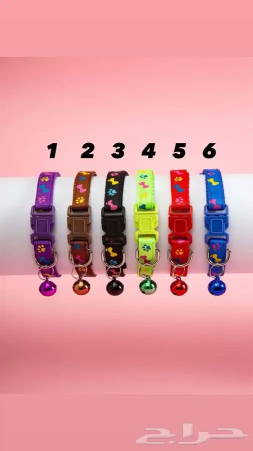 اطواق قطط 9