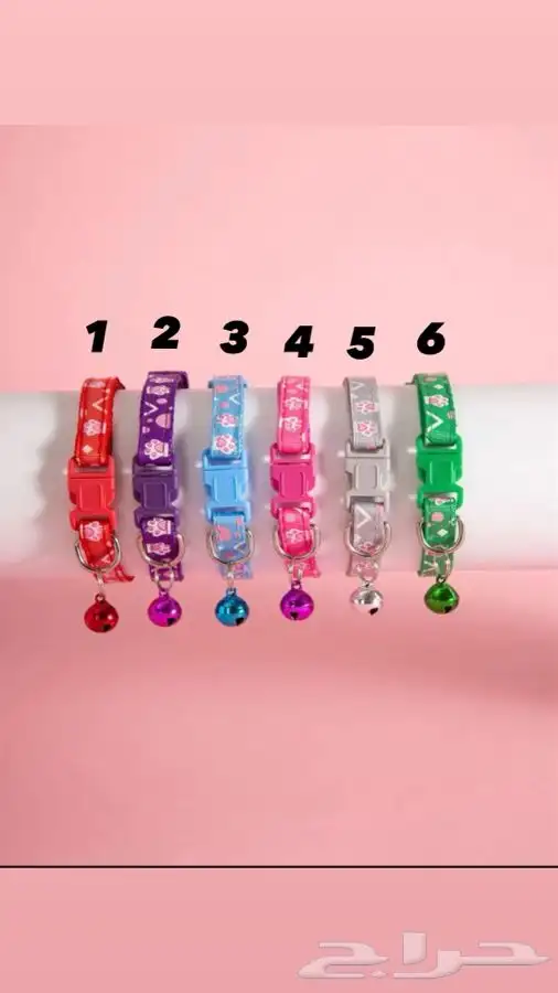 اطواق قطط 11