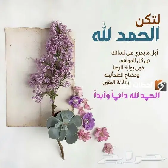 مستعمل خاتمين ودبلة فضة اصلي 37