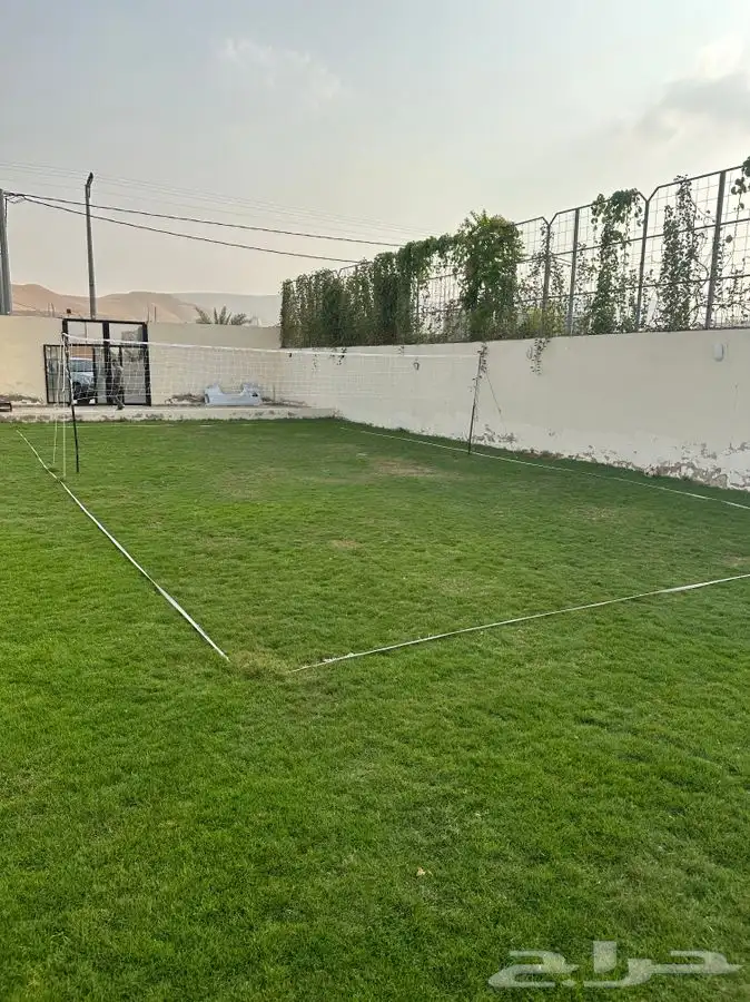 ملاعب كرة طائرة افضل قيمة مقابل سعر 0