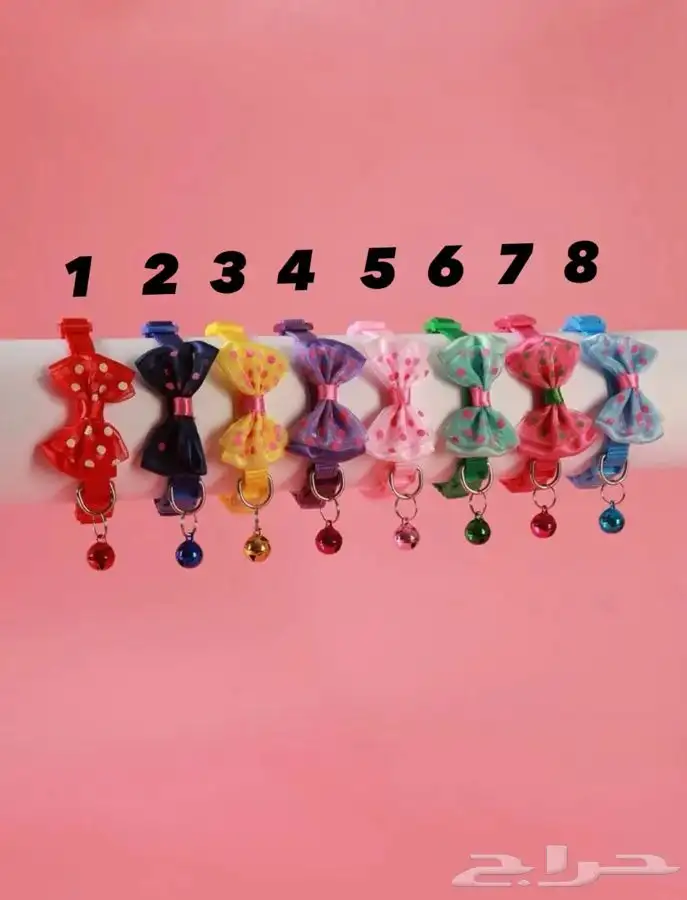 اطواق قطط 6