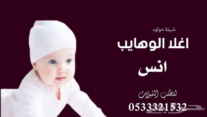 منشد شيلات شاعر جزل 5