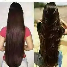 زيت رونيزا الهندي 1