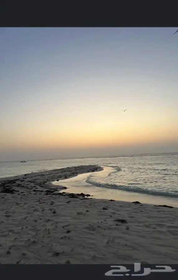 رحلات بحريه ثول 13