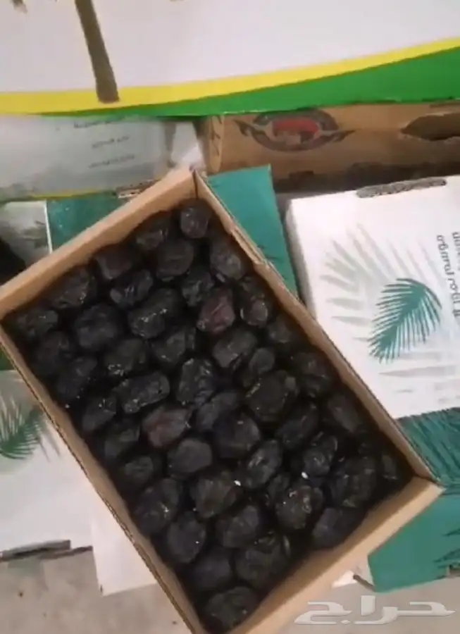 عجوه فاخرره حبه كبيره 29