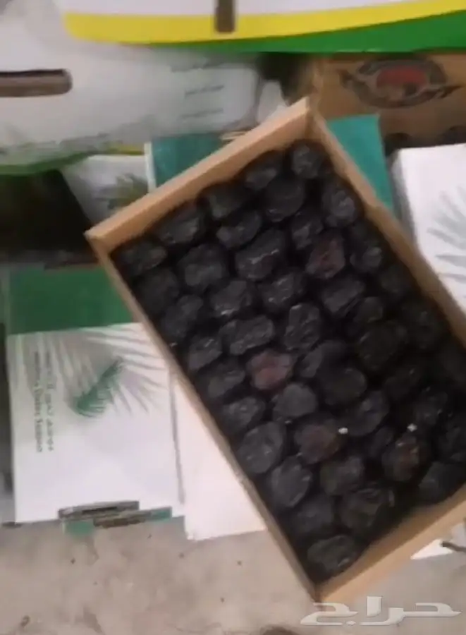 عجوه فاخرره حبه كبيره 28