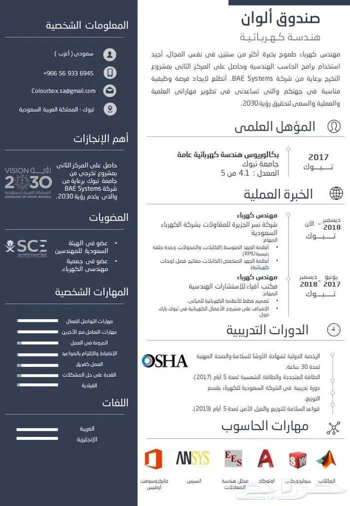 تصميم سيرة ذاتية - السيرة الذاتية من محترفين 0