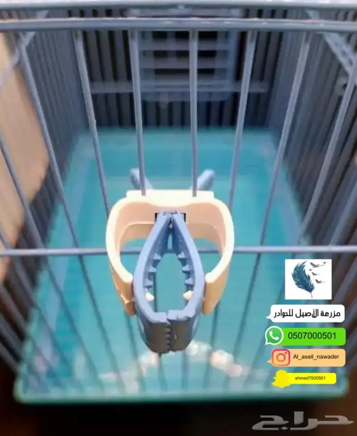 للبيع اعلاف طيور وسقيات وتفصيل حضانات وبياضات 9
