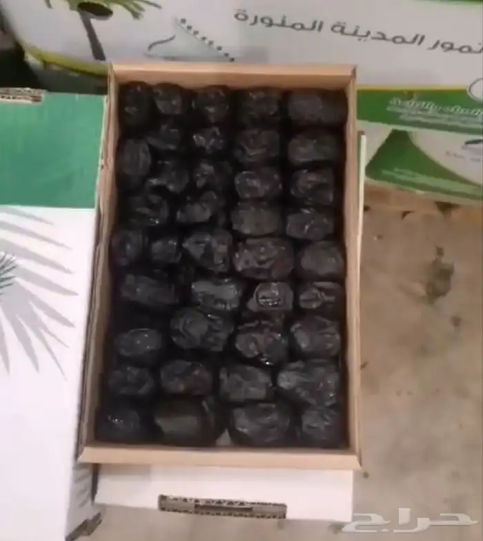 عجوه فاخرره حبه كبيره 30