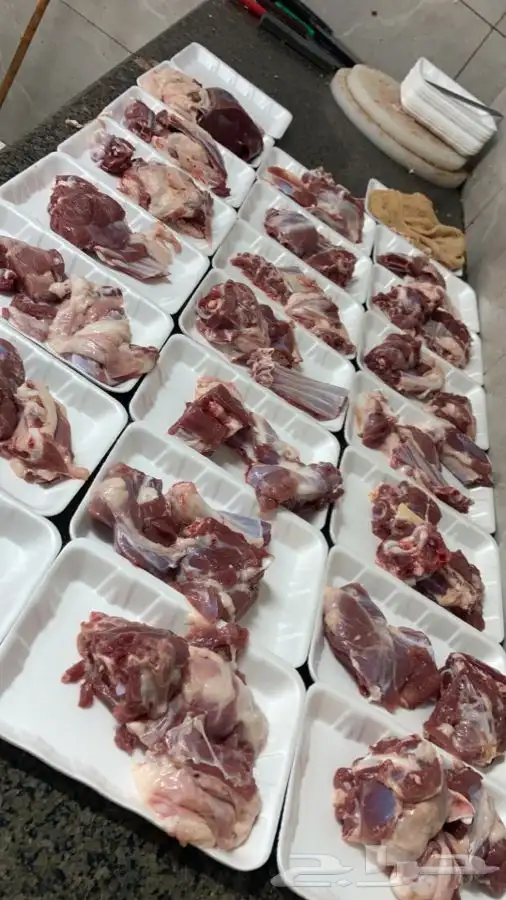 تيوس وخرفان مع امكانية الذبح والتوصيل 7