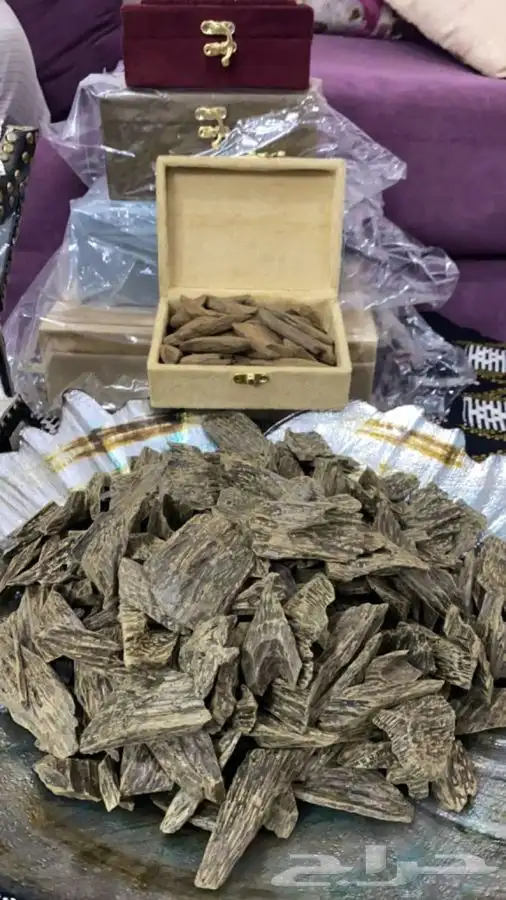 عود كلمنتان دبل سوبر بيور 3