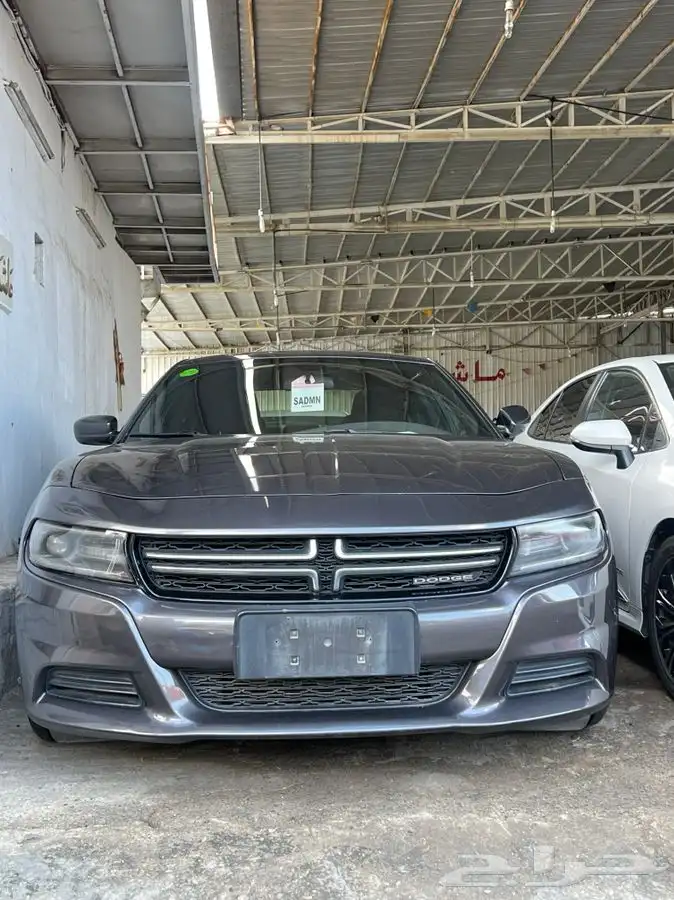 ((مباع)) 0