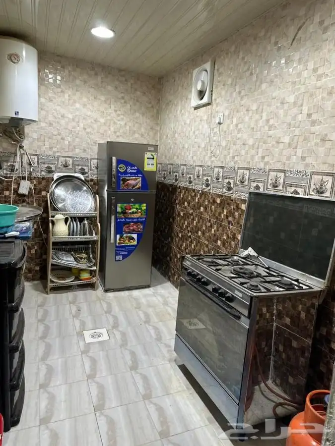 عرض إستراحة النخيل 300 3