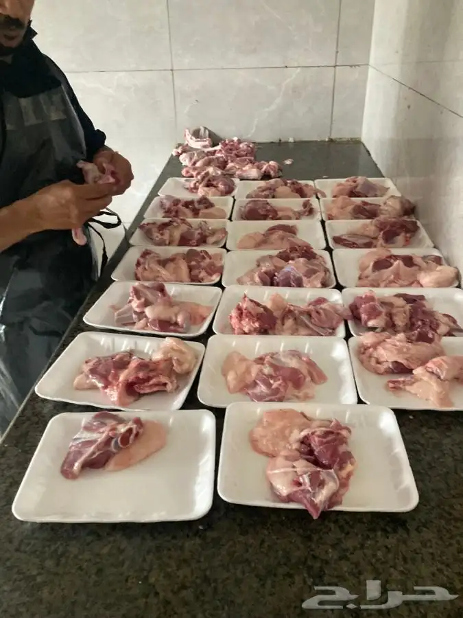 تيوس وخرفان مع امكانية الذبح والتوصيل 9