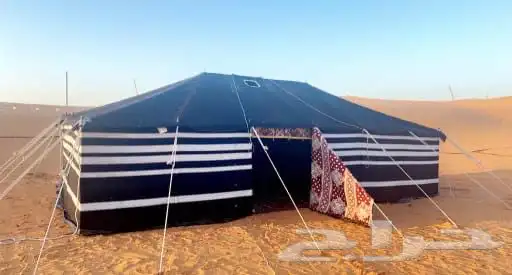 بيوت شعر جديده 2
