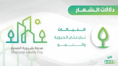 تصميم فيديو اعلاني للسناب وغيره ومونتاج وبوستات وغيرها 5