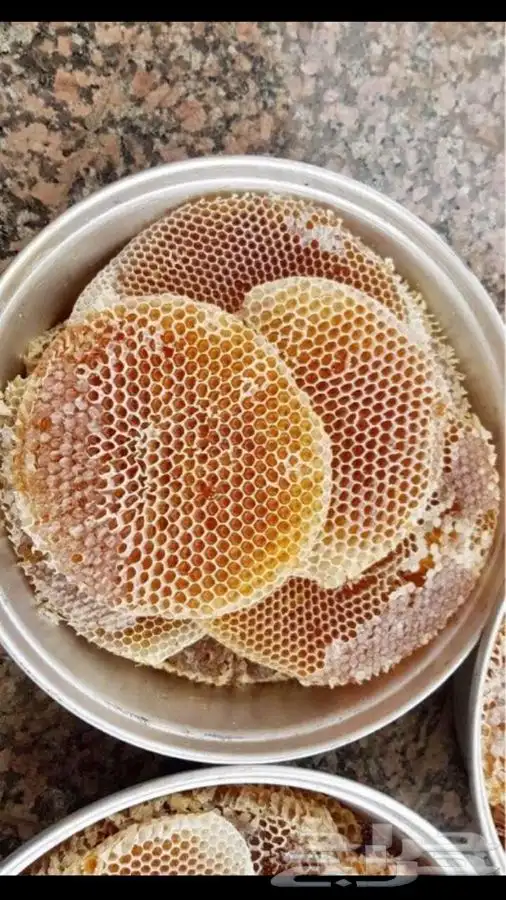 عسل سدر جبلي وطلحه وسمره والخلطه الملكيه وغيرها من منحلي 6