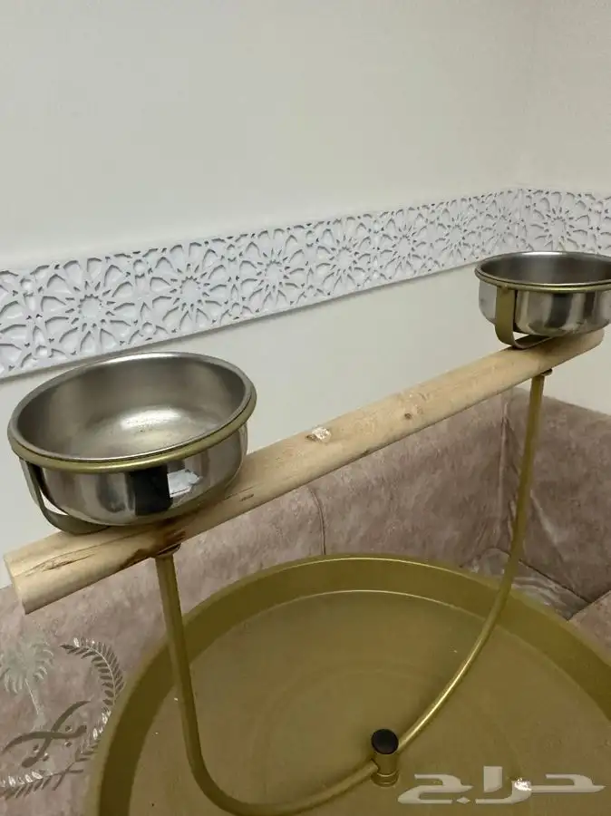 للبيع أنثى كاسكو أليفه مع قفص و ستاند هدية 2