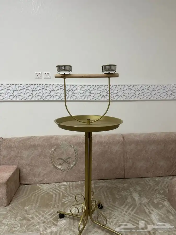 للبيع أنثى كاسكو أليفه مع قفص و ستاند هدية 3