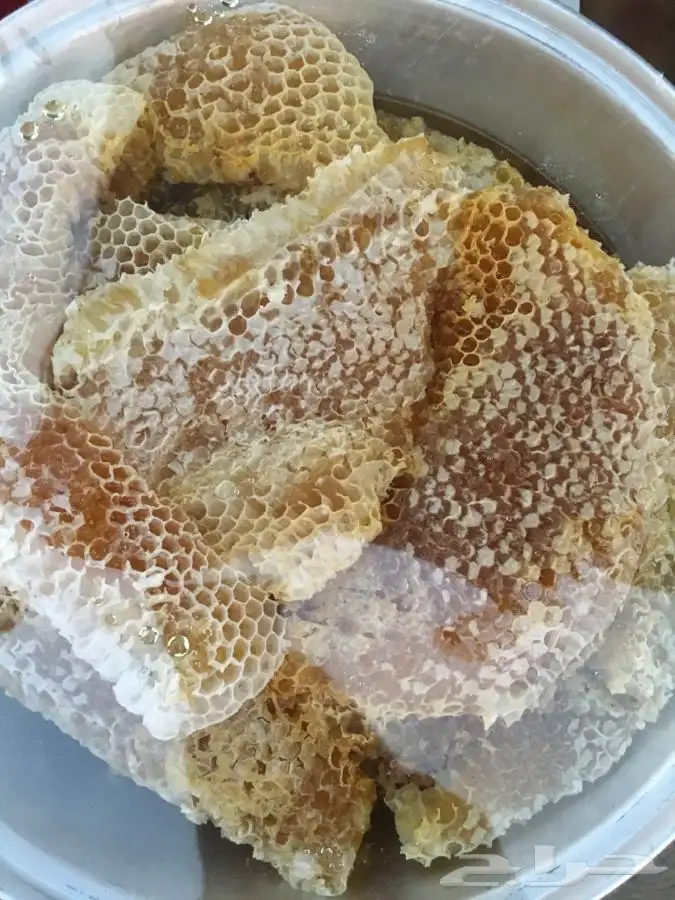 عسل سدر جبلي وطلحه وسمره والخلطه الملكيه وغيرها من منحلي 4