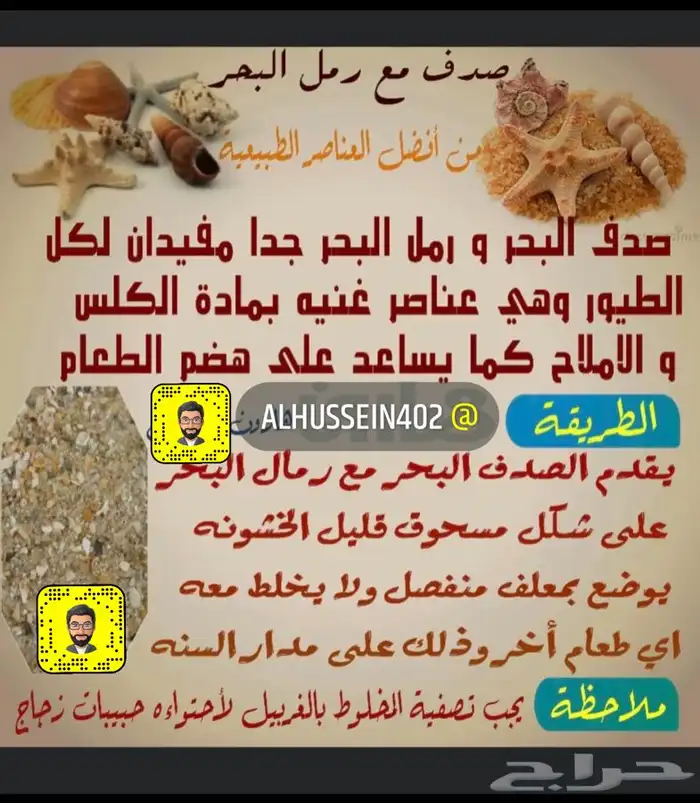 خلطة التحديق لزيادة أنتاج البيض 3