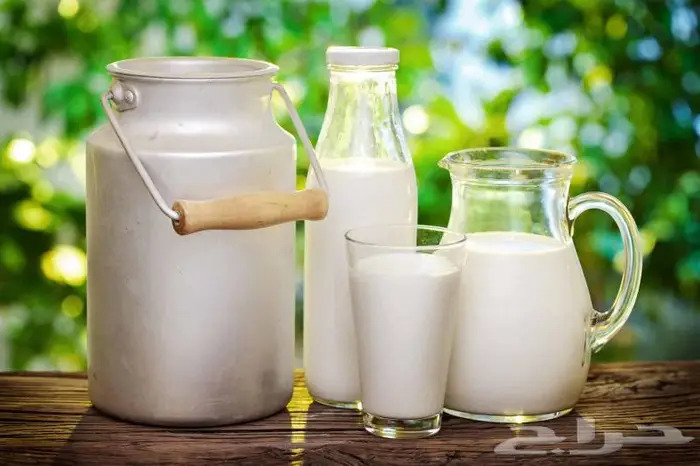 حليب أبقار طازج وصافي 1