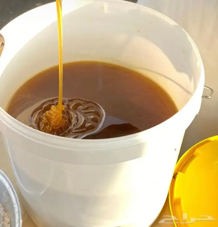 عسل بلدي مضمون ذمه وامانه 0
