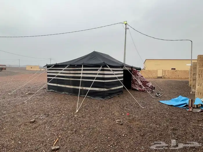 بيوت شعر وا خيام 10