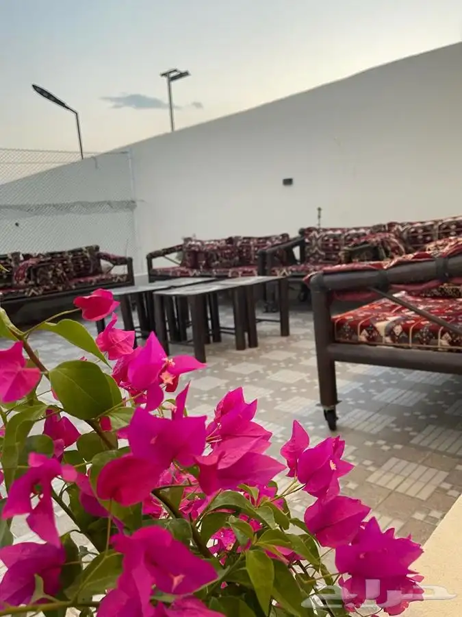 مربط ومنتجع 1