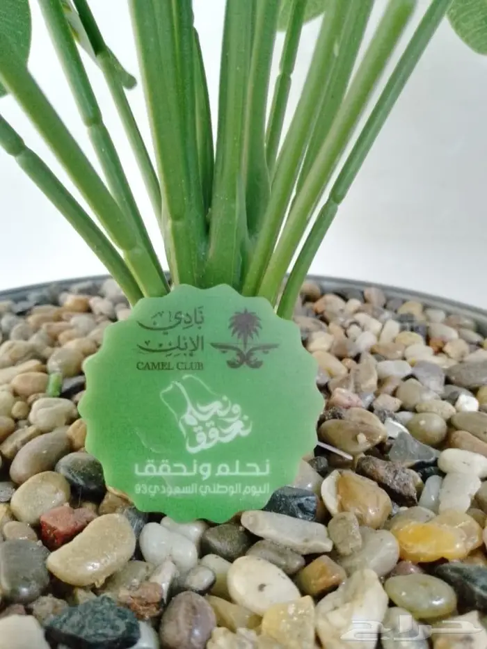 بروش بروشات تفصيل حسب طلبك للتواصل 4