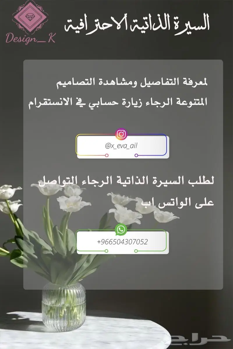 سيرة ذاتية بجودة عالية 1