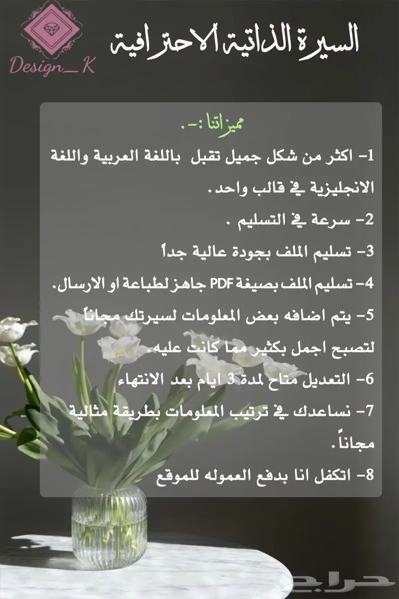 سيرة ذاتية بجودة عالية 0