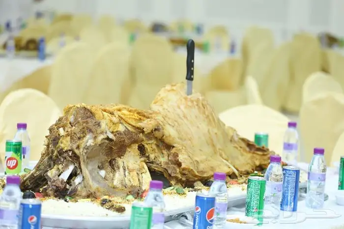 مصور سعودي الدمام الخبر الجبيل الاحساء عفيف الجبيل 3