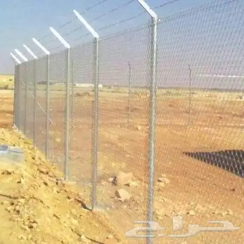 قلع وزراعة اشجار 8