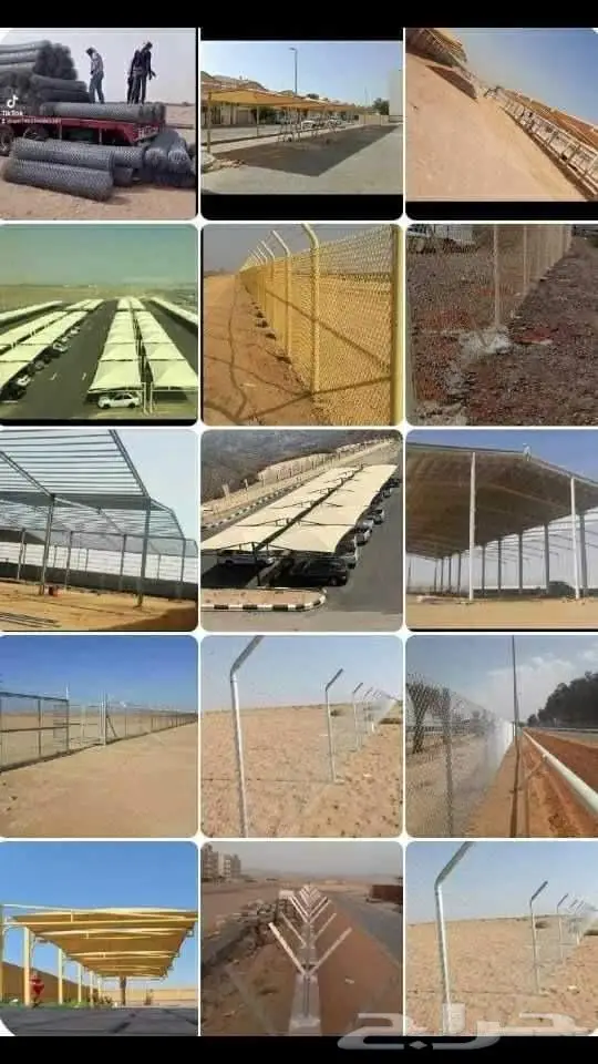قلع وزراعة اشجار 4