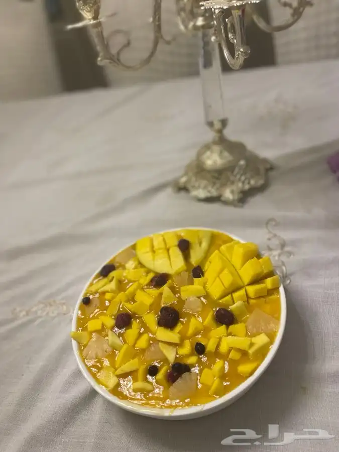 ترافيل حلى بارد 1