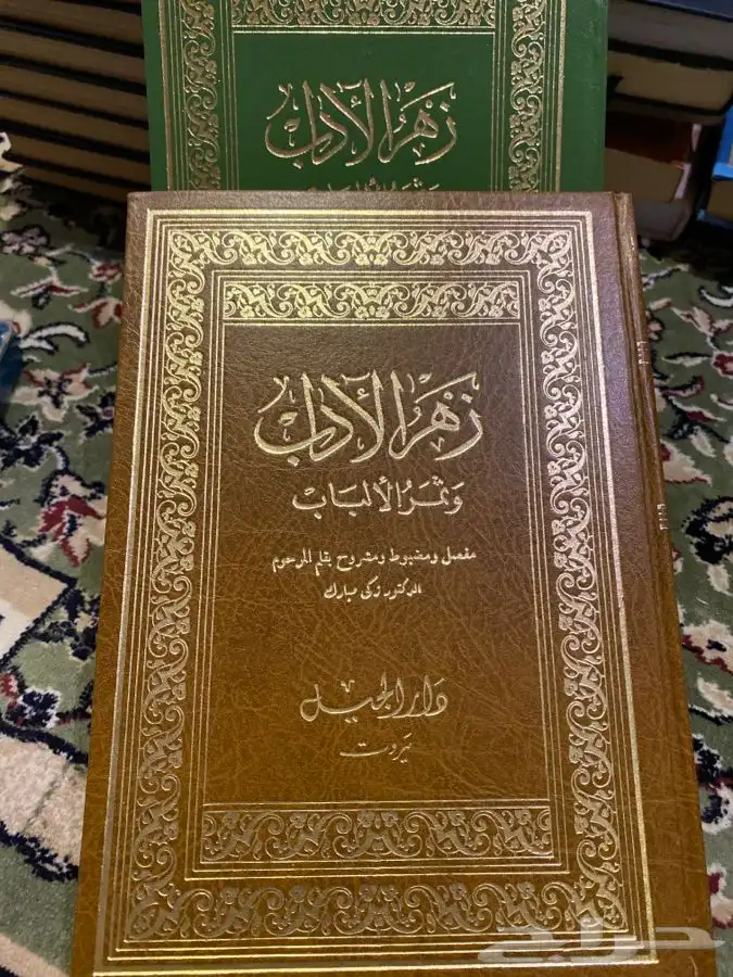 كتب ثقافية لمحبي القراءة وطلاب اللغة العربية 6