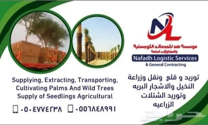 قلع وزراعة اشجار 7